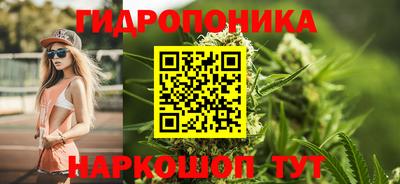 спиды Гусь-Хрустальный